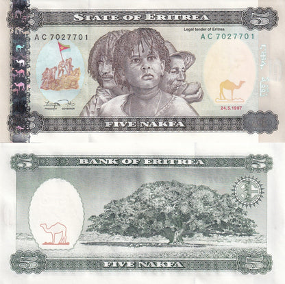 Eritrea 5 Nakfa 1997 P 2 UNC 1/10 Bundle Lot 10 pcs