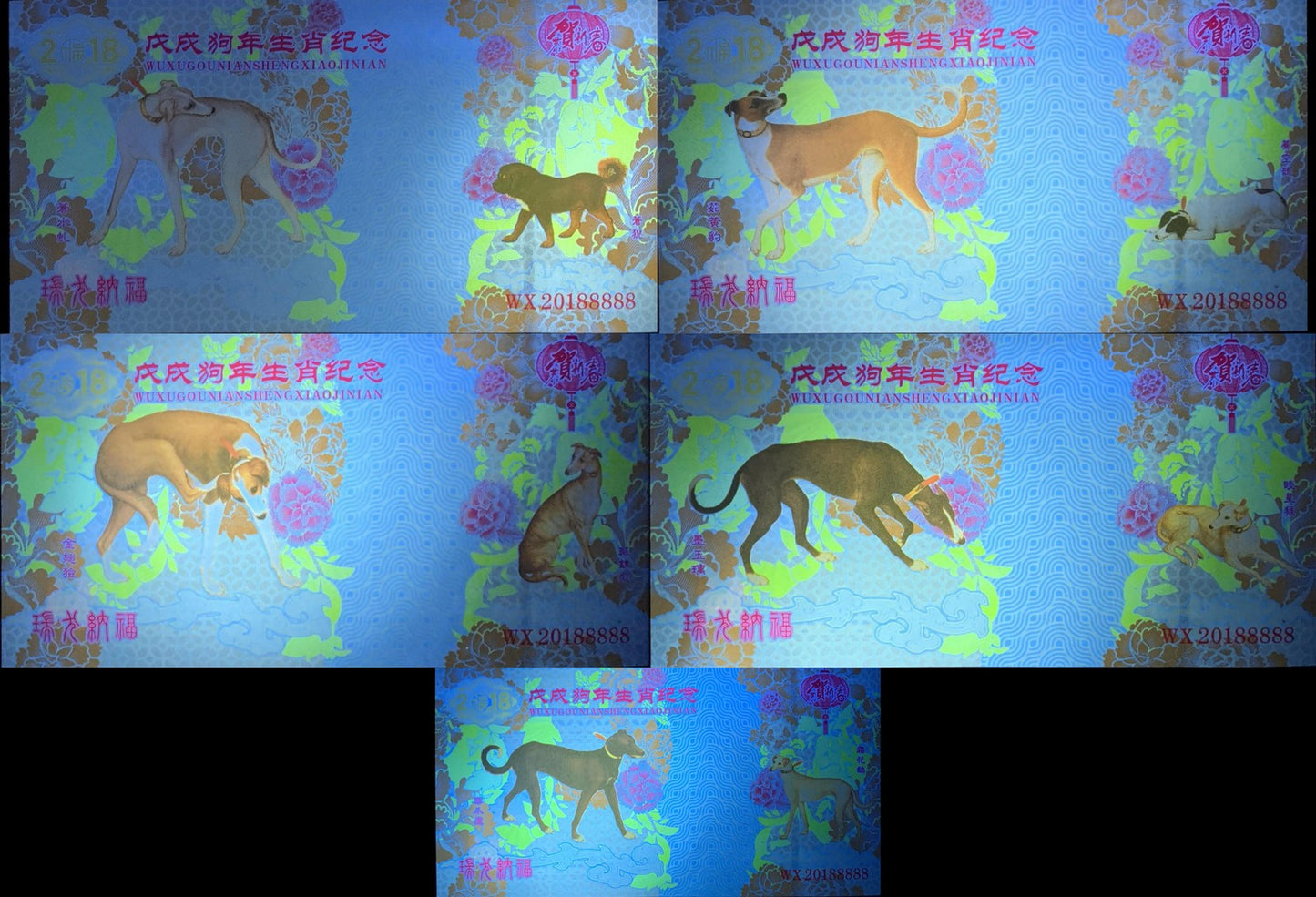 China TEST NOTE 2018 Dog Zodiac COMM. Banknote Vouchers Set 5 pcs UNC