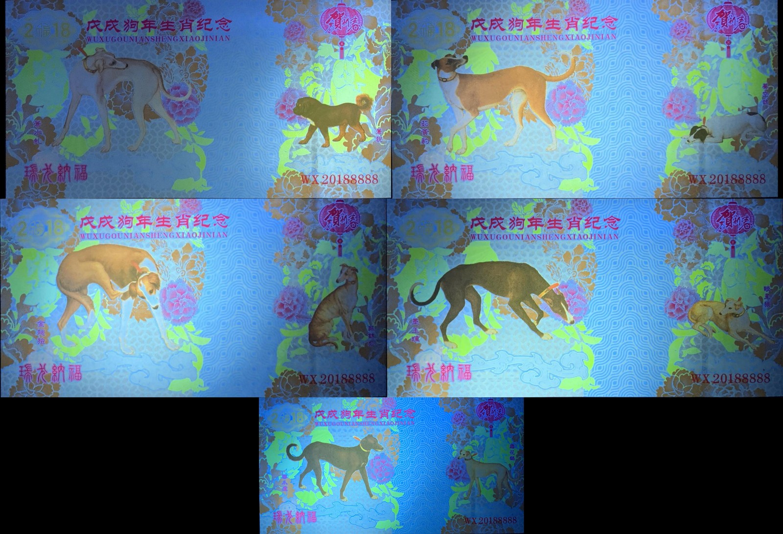 China TEST NOTE 2018 Dog Zodiac COMM. Banknote Vouchers Set 5 pcs UNC