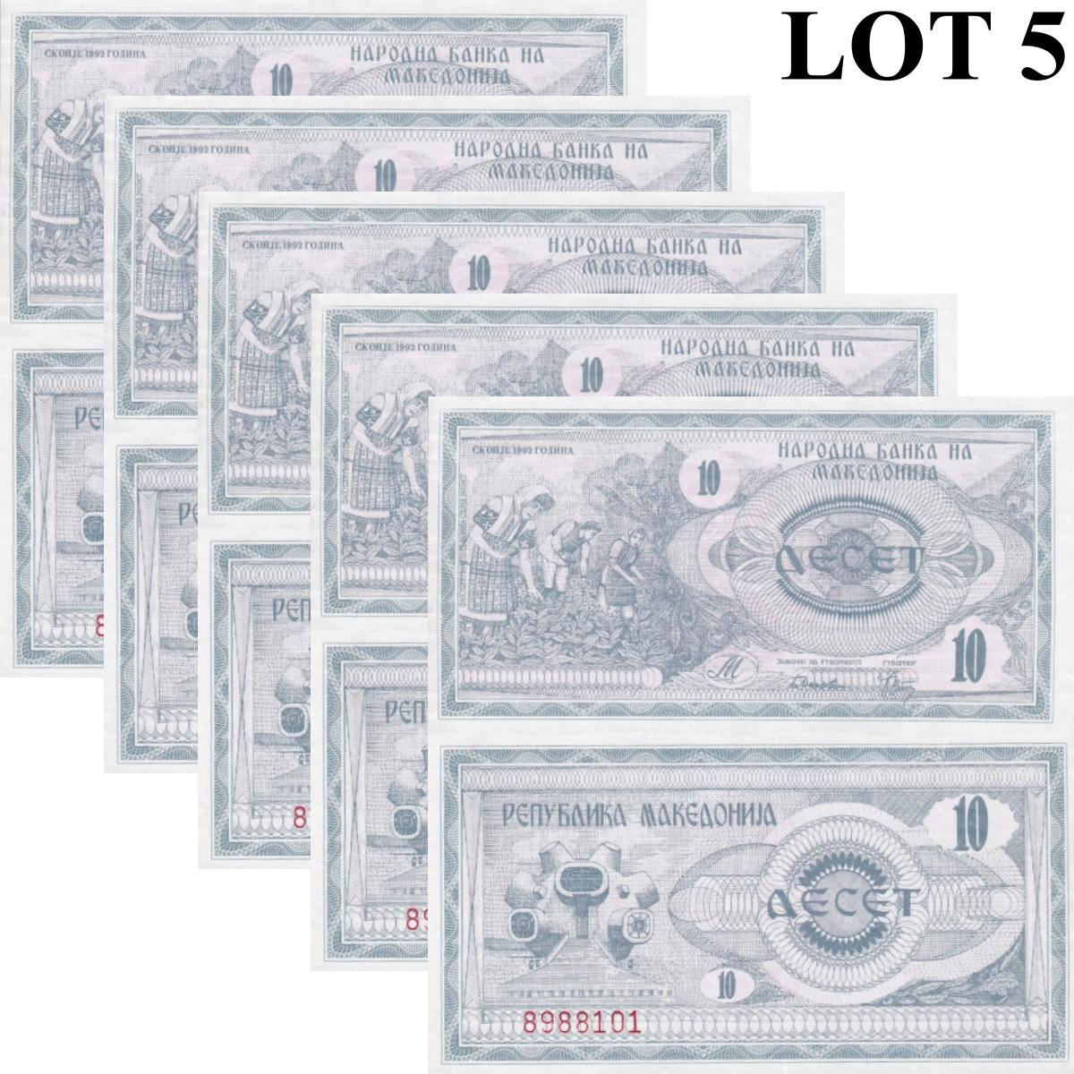 Macedonia 10 Denari 1992 P 1 UNC 1/20 Bundle Lot 5 pcs