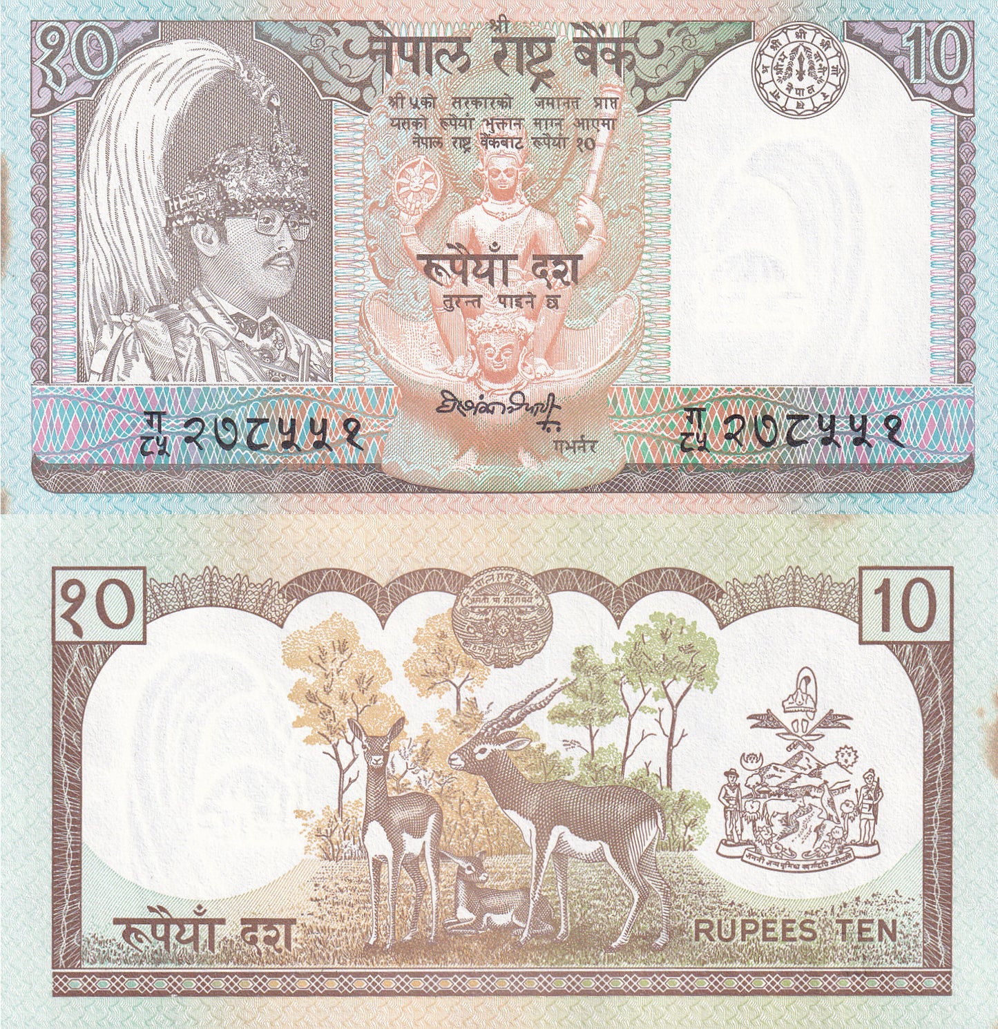 Nepal 10 Rupees 1990-1995 P 31a2 UNC FOXING 1/5 Bundle Lot 20 pcs