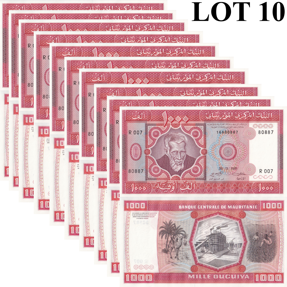 Mauritania 1000 Ouguiya 1981 2024 P 3D Unissued Camel & Factory UNC Lot 10 pcs