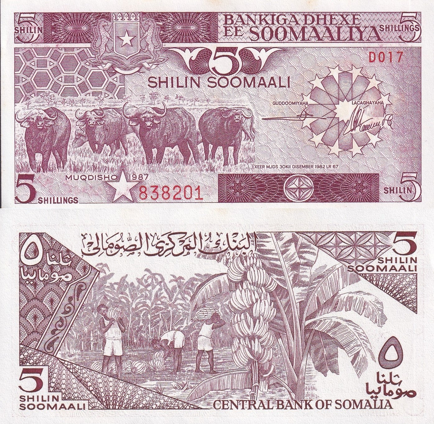 Somalia 5 Shilin Soomaali 1987 P 31c UNC MINOR FOXING 1/10 Bundle Lot 10 pcs