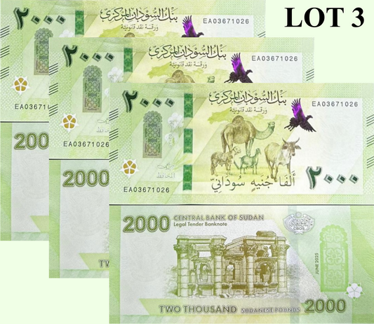 Sudan 2000 Pounds 2025 / 2026 P New Design Camel UNC Lot 3 pcs
