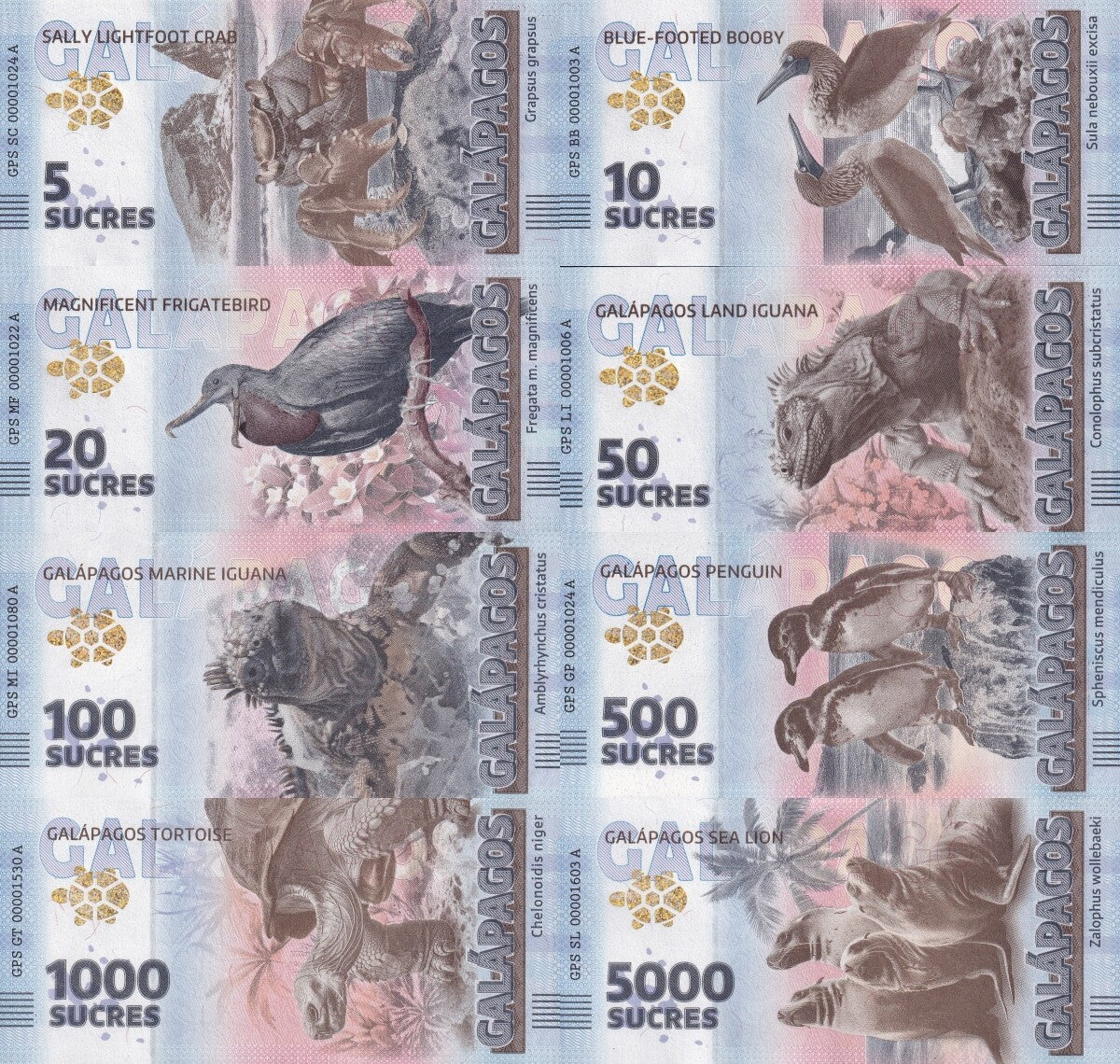 Galapagos Complete set of Eight Souvenir Note Full Set UNC Test Note Set 8 pcs