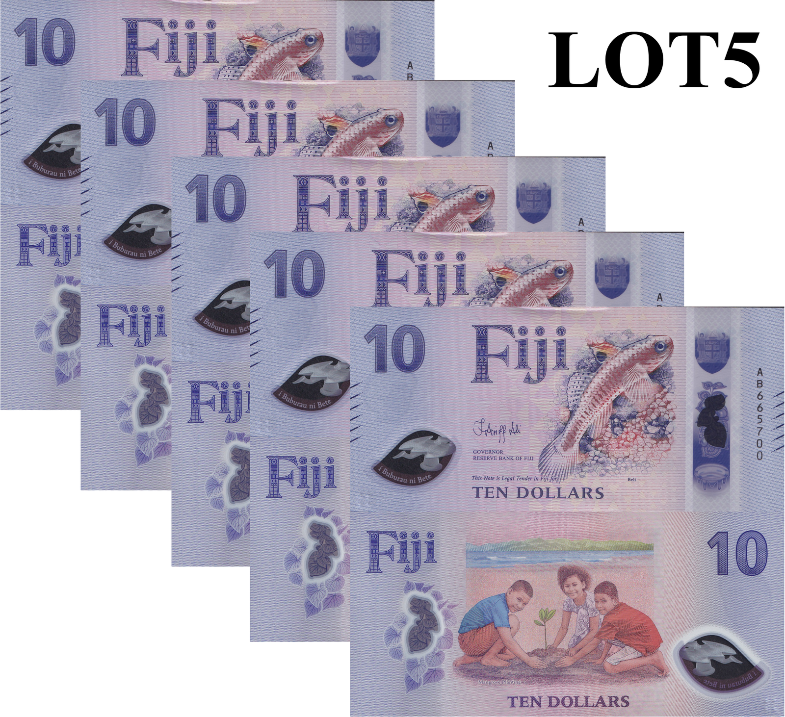 Fiji 10 Dollars 2026 P New Design Polymer UNC 1/20 Bundle Lot 5 pcs