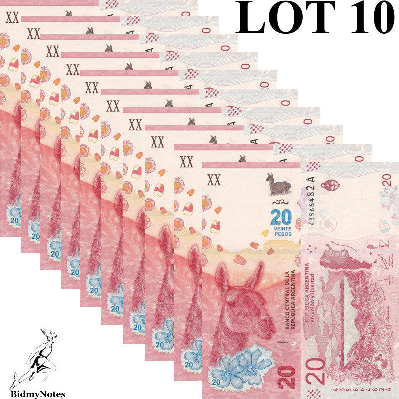 Argentina 20 Pesos ND 2017 P 361 UNC 1/10 Bundle LOT 10 pcs