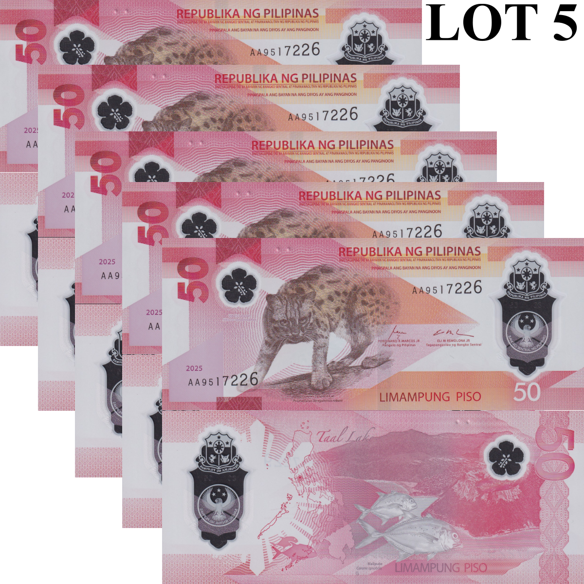 Philippines 50 Piso 2025 P New Polymer UNC AA Prefix 1/20 Bundle LOT 5 pcs