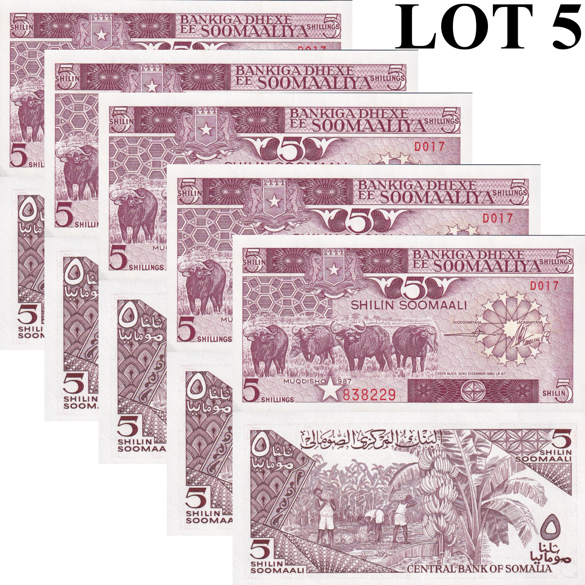 Somalia 5 Shilin Soomaali 1987 P 31c UNC MINOR FOXING 1/20 Bundle Lot 5 pcs