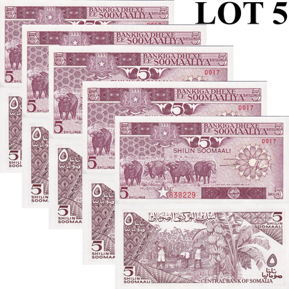 Somalia 5 Shilin Soomaali 1987 P 31c UNC MINOR FOXING 1/20 Bundle Lot 5 pcs