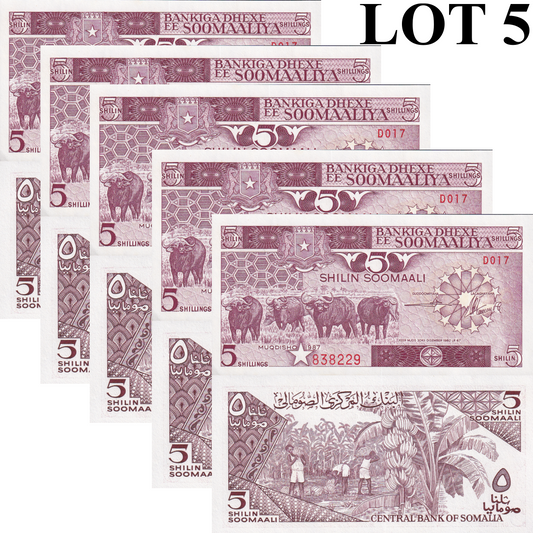 Somalia 5 Shilin Soomaali 1987 P 31c UNC MINOR FOXING 1/20 Bundle Lot 5 pcs
