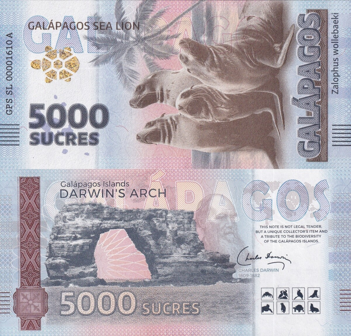 Galapagos Souvenir Note 5000 Sucres Galapagos Sea Lion Test Note