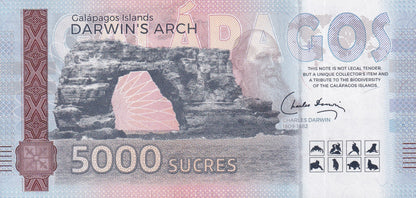 Galapagos Souvenir Note 5000 Sucres Galapagos Sea Lion Test Note