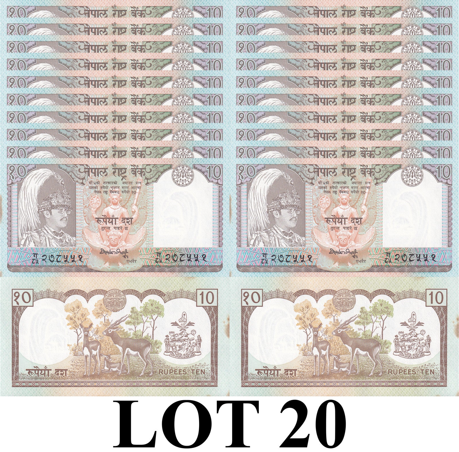 Nepal 10 Rupees 1990-1995 P 31a2 UNC FOXING 1/5 Bundle Lot 20 pcs