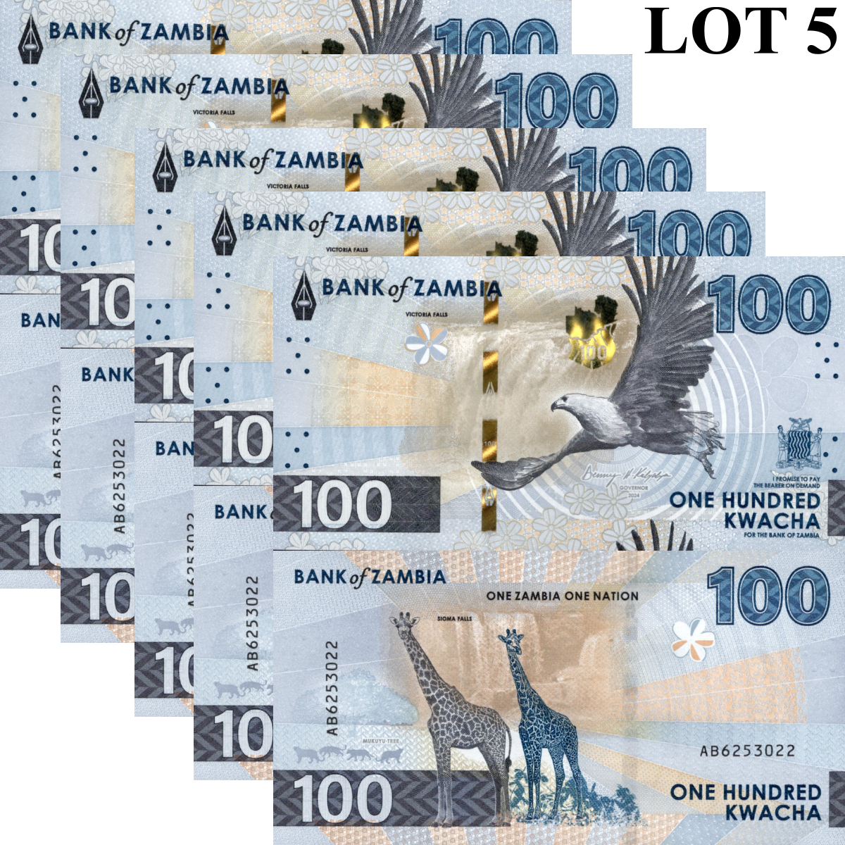 Zambia 100 Kwacha 2024 2025 P New Issue UNC 1/20 Bundle LOT 5 pcs