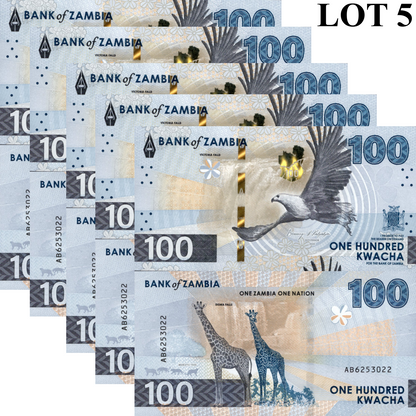 Zambia 100 Kwacha 2024 2025 P New Issue UNC 1/20 Bundle LOT 5 pcs