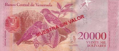 Venezuela 20000 Bolivars 2016 P 99 UNC SPECIMEN