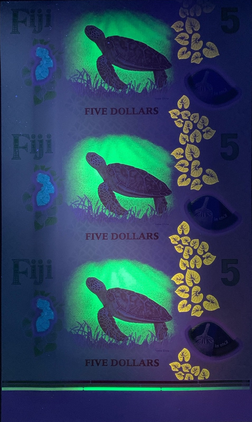 Fiji 5 Dollars 2026 P New Design Polymer UNC UNCUT 3 IN 1