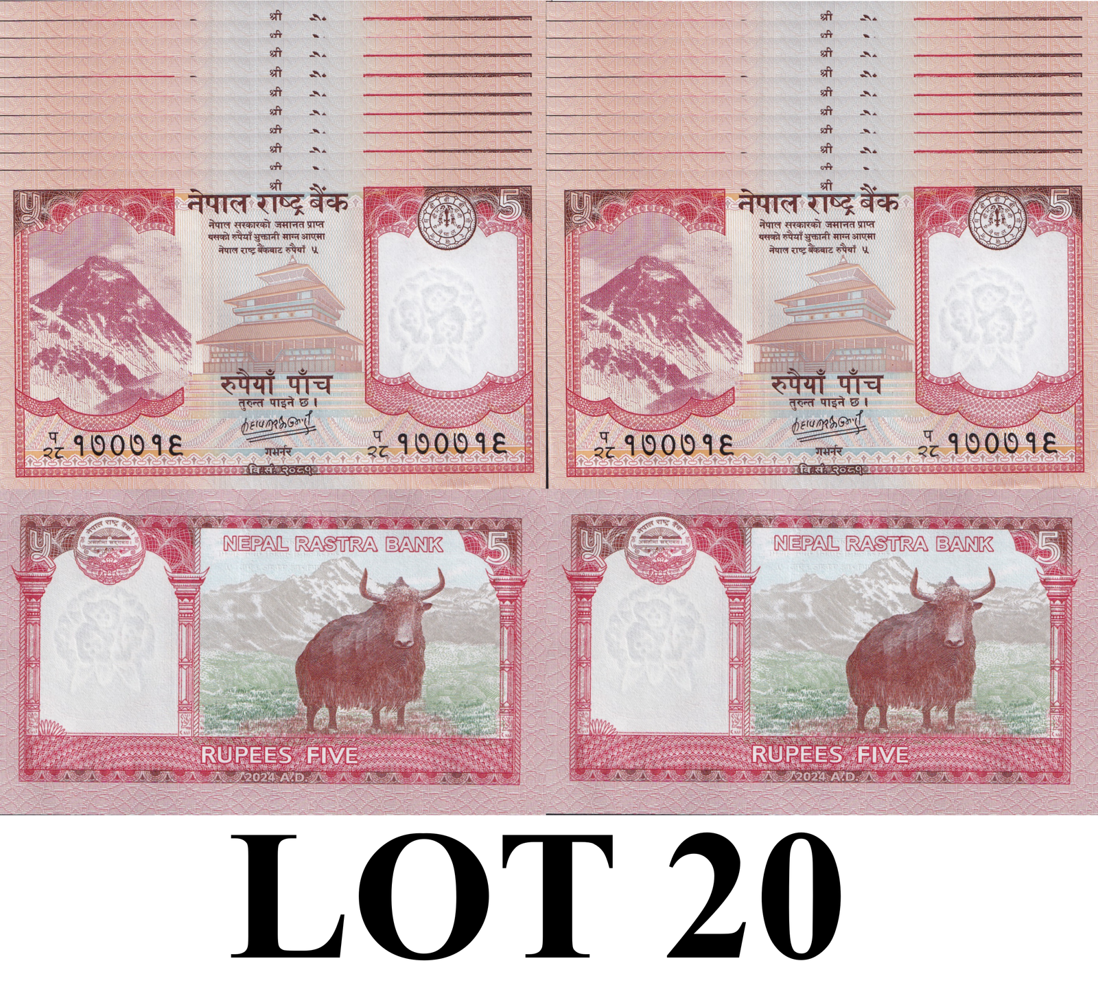 Nepal 5 Rupees 2024/2025 P 76 UNC 1/5 Bundle Lot 20 pcs