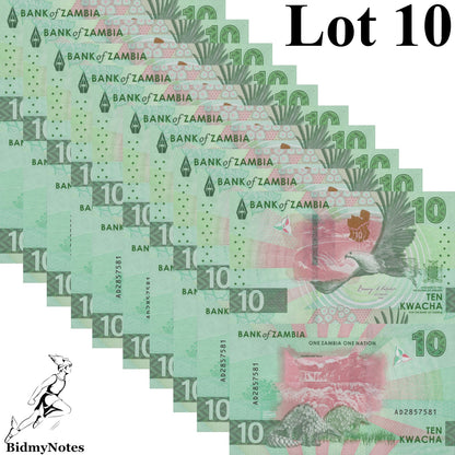 Zambia 10 Kwacha 2024 2025 P New Issue UNC 1/10 Bundle LOT 10 pcs