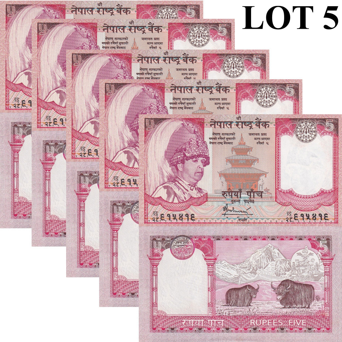 Nepal 5 Rupees ND 2005-2006 P 53 UNC 1/20 Bundle Lot 5 pcs