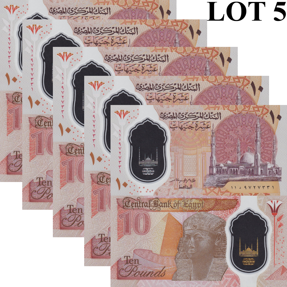 Egypt 10 Pounds 2022 P 81 Polymer UNC 1/20 Bundle Lot 5 pcs