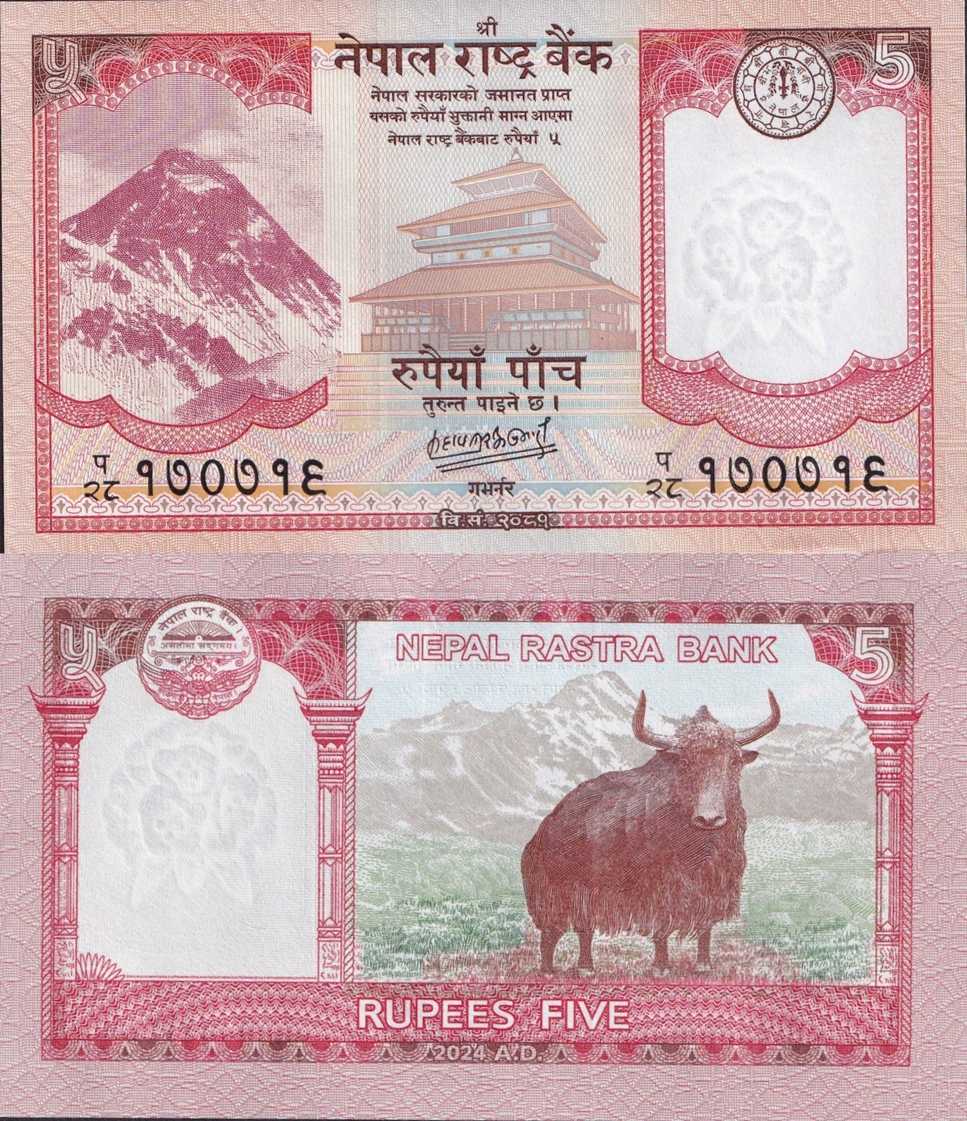 Nepal 5 Rupees 2024/2025 P 76 UNC 1/5 Bundle Lot 20 pcs
