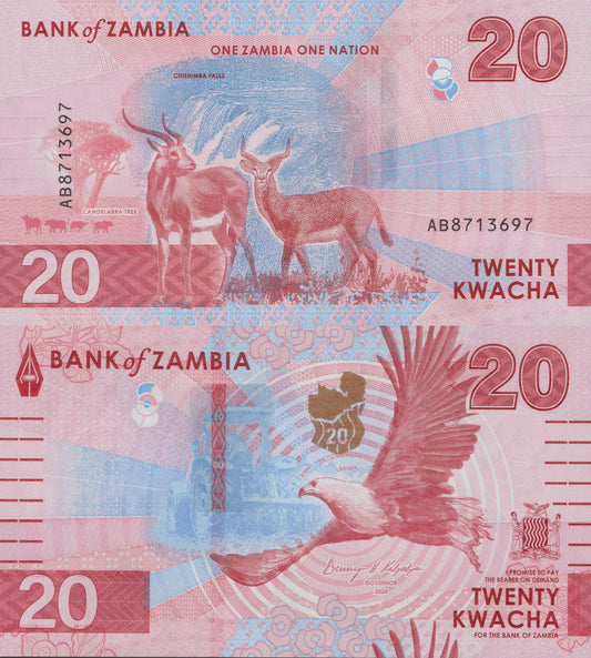Zambia 20 Kwacha 2024 2025 P New Issue UNC
