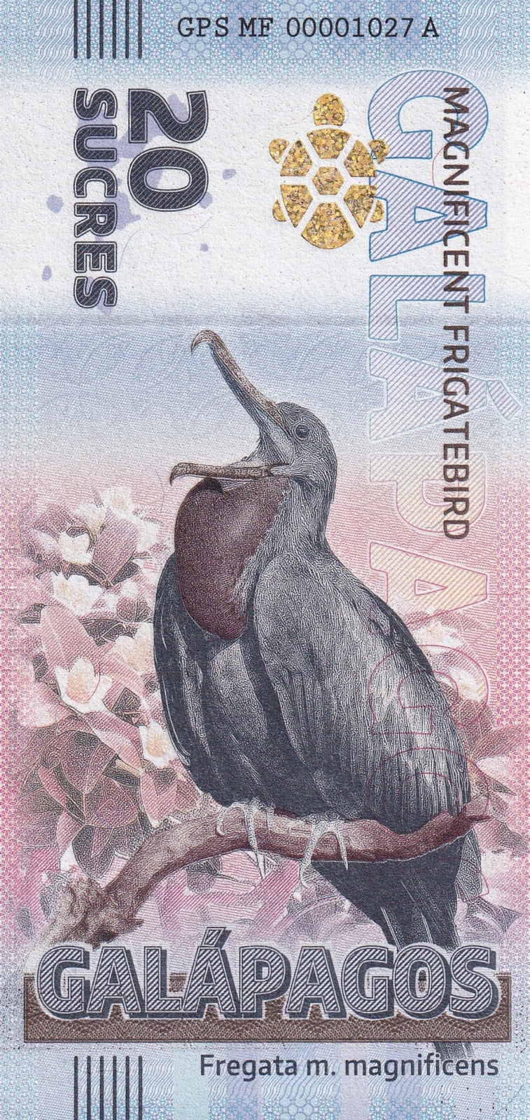 Galapagos Souvenir Note 20 Sucres Magnificent Frigatebird UNC Test Note