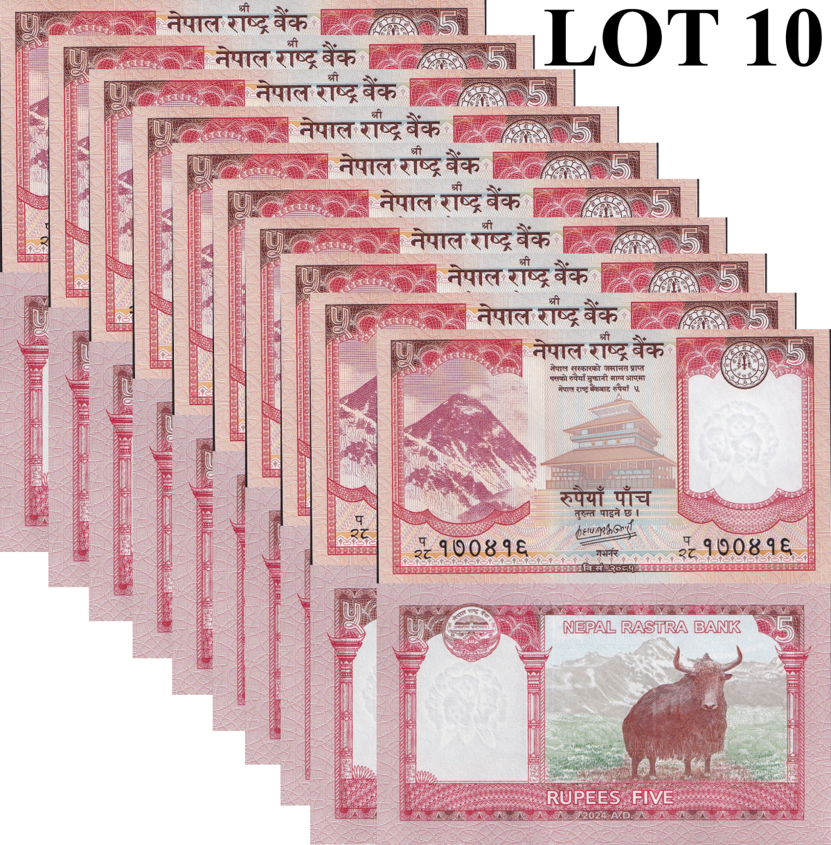 Nepal 5 Rupees 2024/2025 P 76 UNC 1/10 Bundle Lot 10 pcs