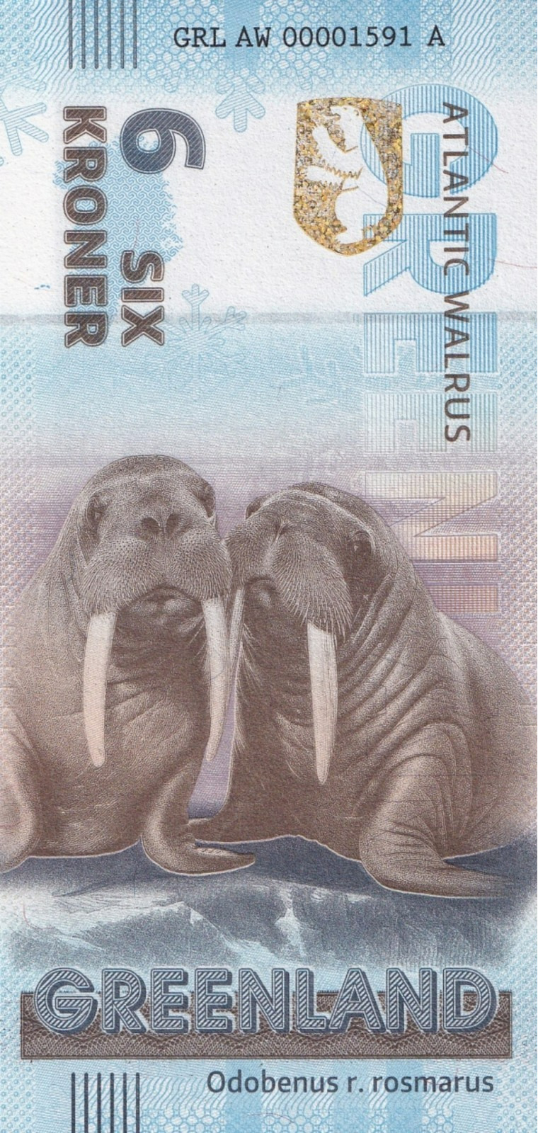 Greenland Souvenir Note 6 Krone Atlantic Walrus UNC Test Note NR No Reserve