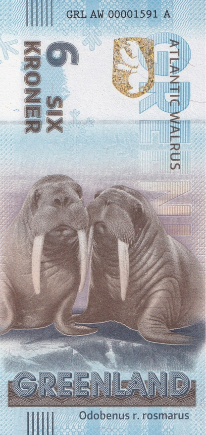 Greenland Souvenir Note 6 Krone Atlantic Walrus UNC Test Note NR No Reserve