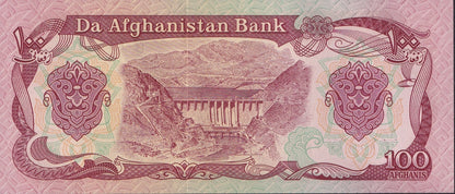 Afghanistan 100 Afghanis 1991 P 58c UNC