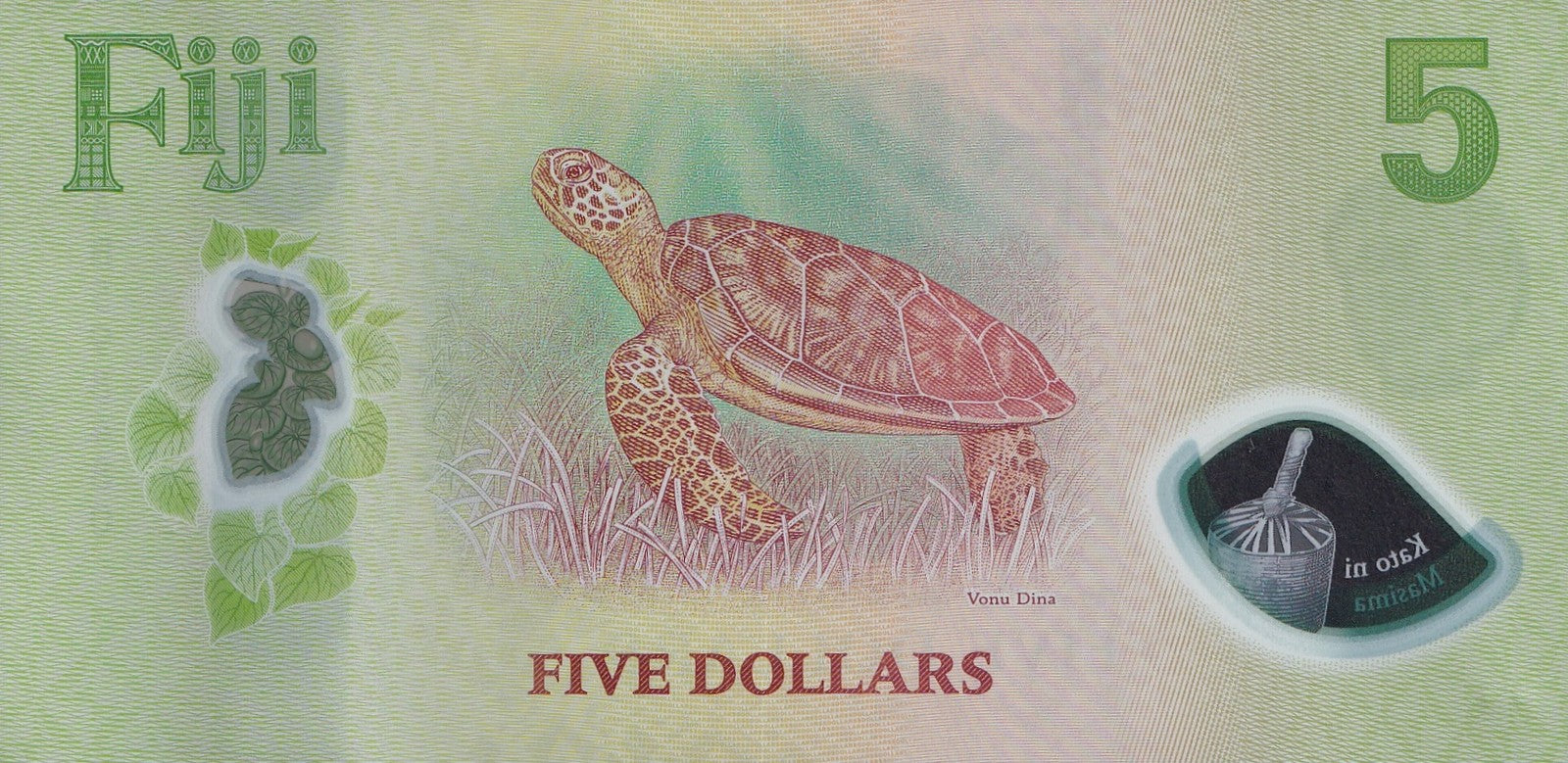Fiji 5 Dollars 2026 P New Design Polymer UNC