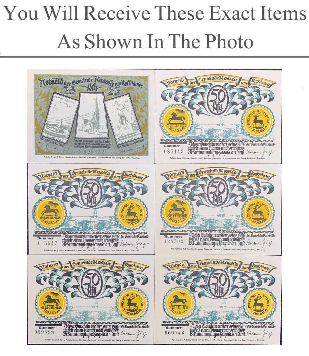 Germany Notgeld ROSSLA 25 20 Pfennig 1921 Full Set 6 pcs