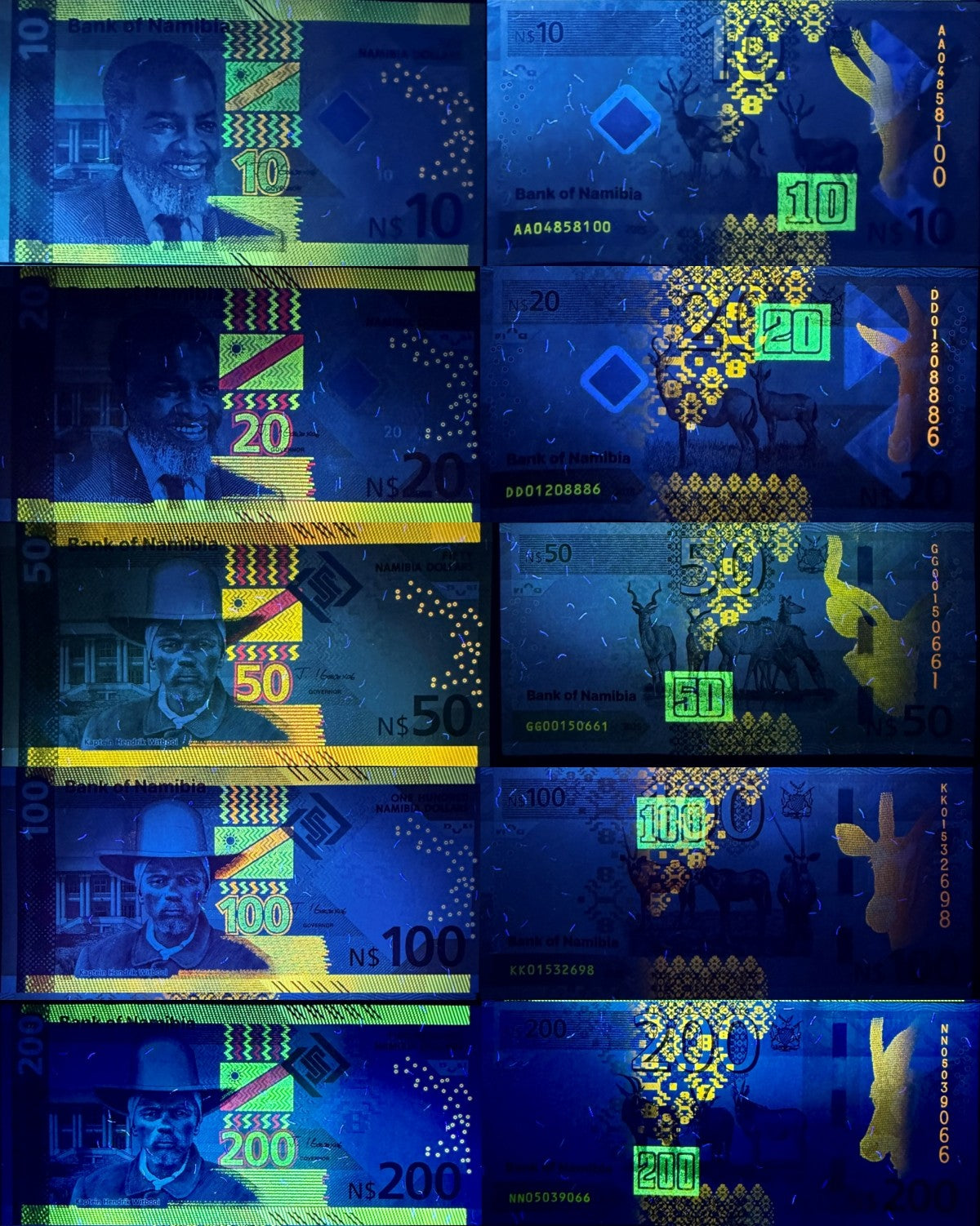 NAMIBIA 10 20 50 100 200 Namibia Dollars 2025 P New Issue Set 5 pcs UNC