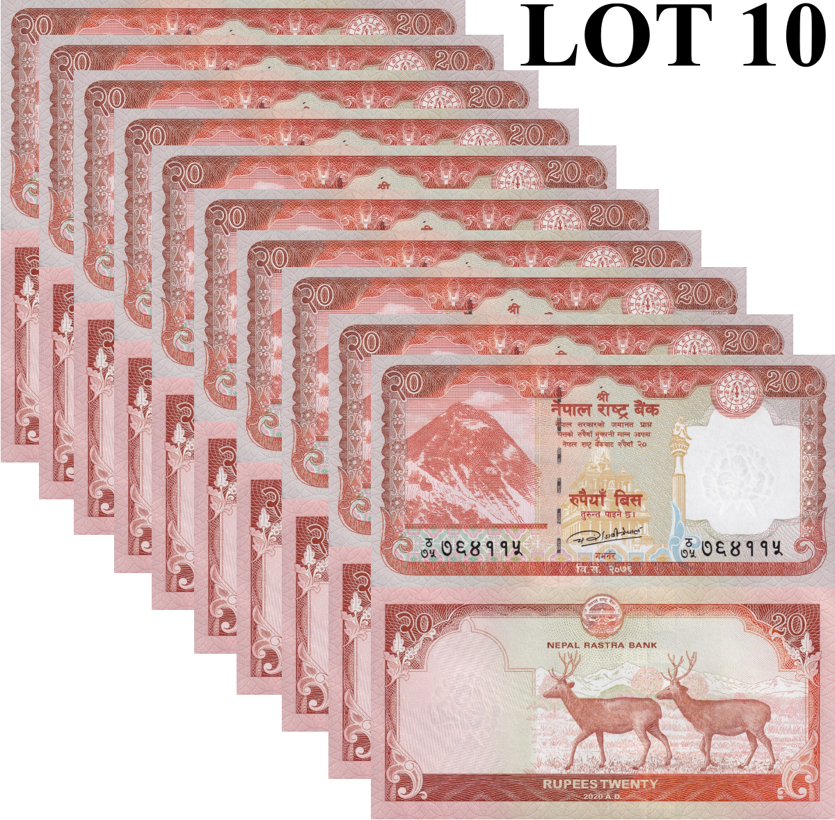 Nepal 20 Rupees 2020 P 78 UNC 1/10 Bundle LOT 10 pcs