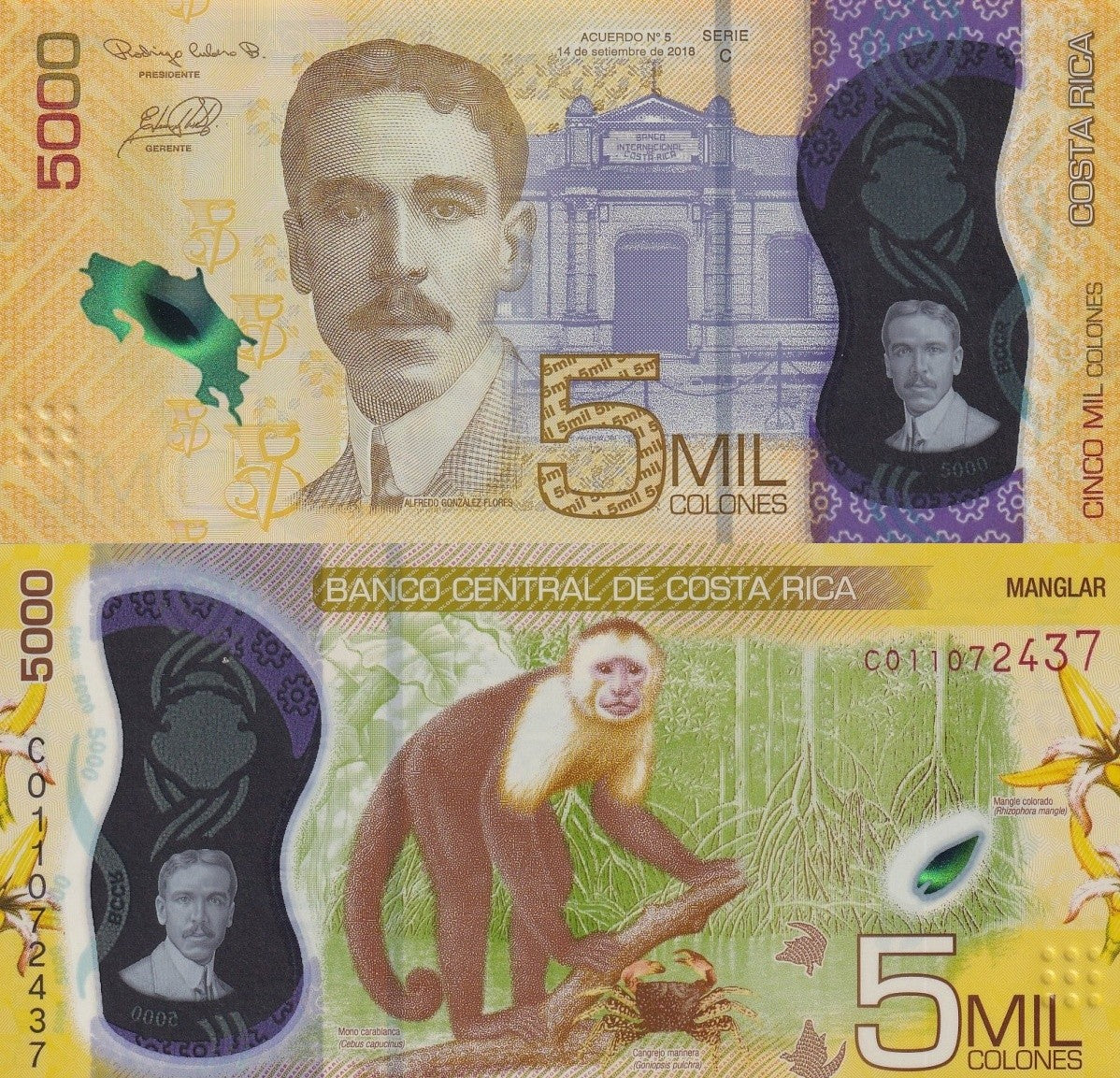 Costa Rica 5000 Colones 2018 P 282 Polymer UNC
