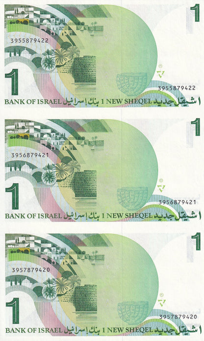 Israel 1 New Sheqel 1986 P 51A UNC Banknote Sheet UNCUT 3 IN 1