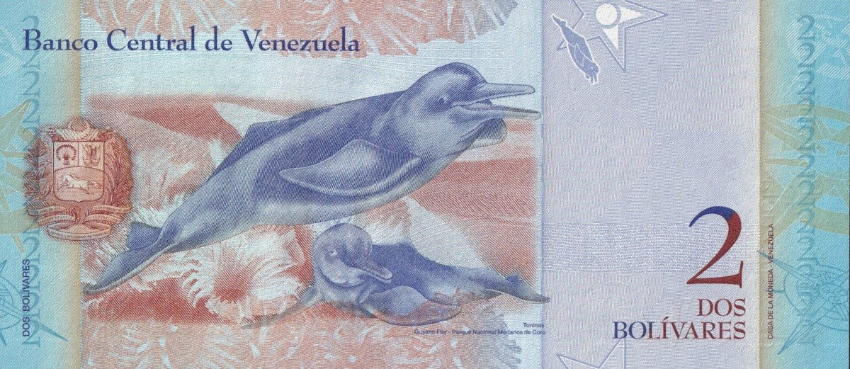 Venezuela 2 Bolivars 2008 P 88 UNC SPECIMEN