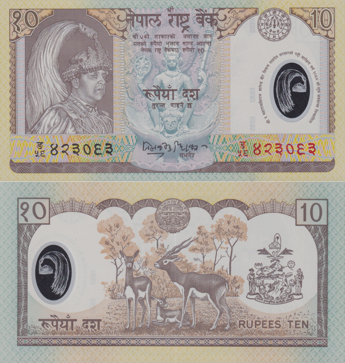 Nepal 10 Rupees ND 2002 P 45 Polymer UNC Commemorative 1/5 Bundle Lot 20 pcs