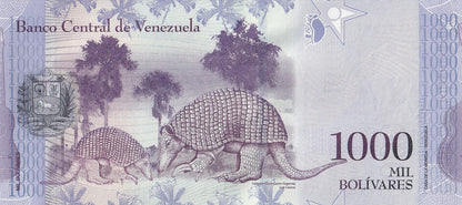 Venezuela 1000 Bolivares 2017 P 95b UNC