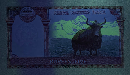 Nepal 5 Rupees 2024/2025 P 76 UNC 1 Bundle Lot 100 pcs