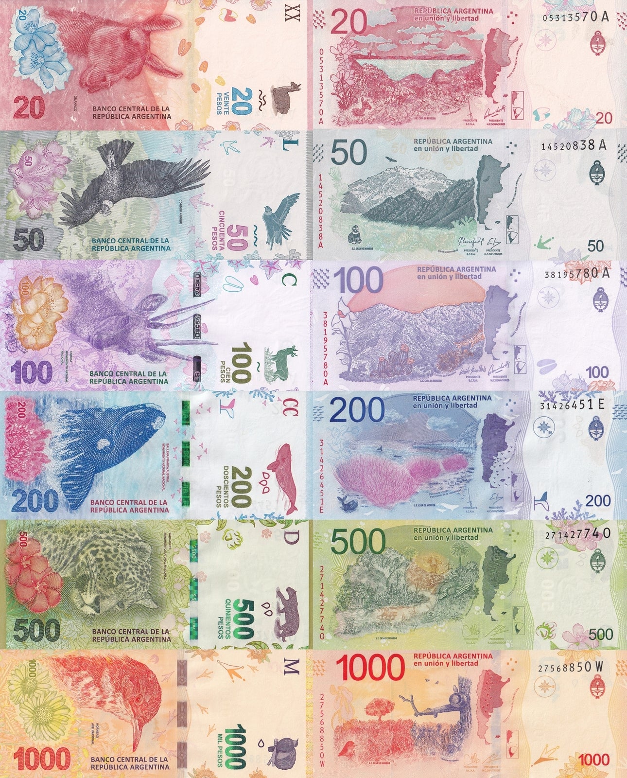 Argentina 20 50 100 200 500 1000 Pesos 2016-2018 P 361-366 UNC Set 6 pcs