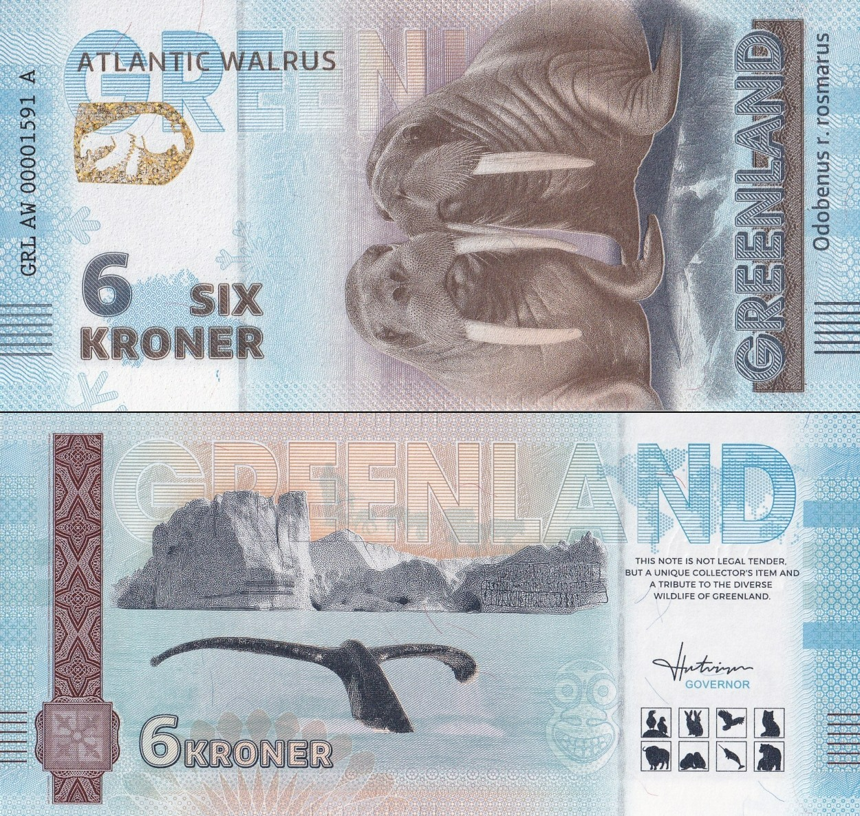 Greenland Souvenir Note 6 Krone Atlantic Walrus UNC Test Note NR No Reserve