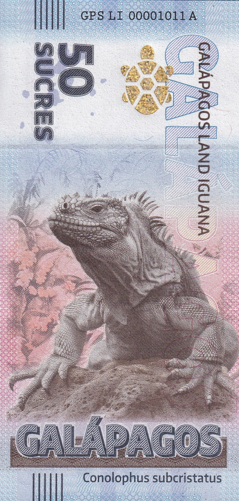 Galapagos Souvenir Note 50 Sucres Galapagos Land Iguana UNC Test Note