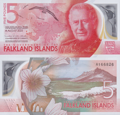 Falkland Islands 5 Pounds 2025 P NEW Polymer UNC