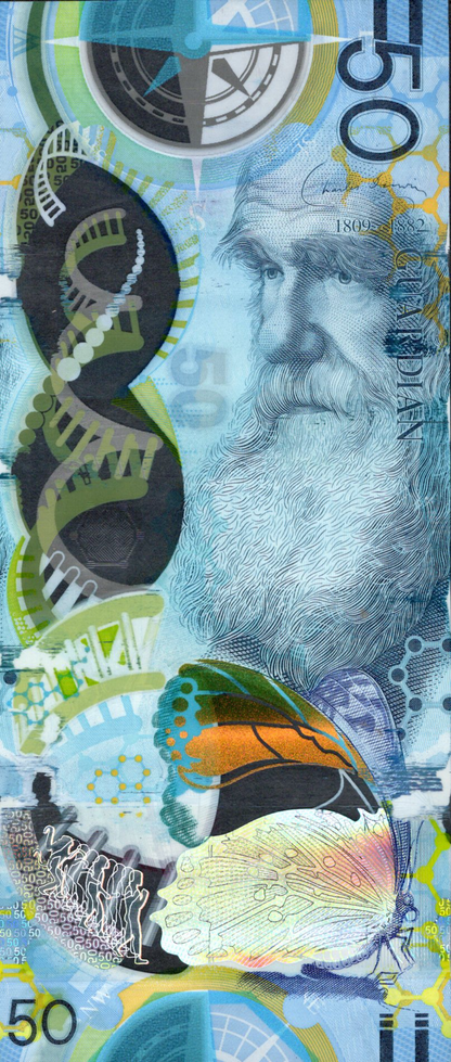 Australia TEST NOTE 2012 Darwin 50 Yuan Polymer Commemorative Coupon AU