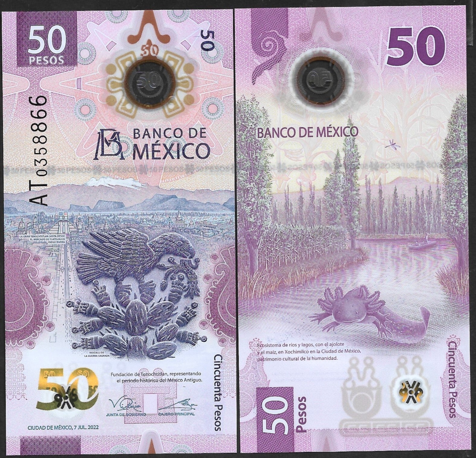 Mexico 50 Pesos  2022  P 133 UNC Polymer