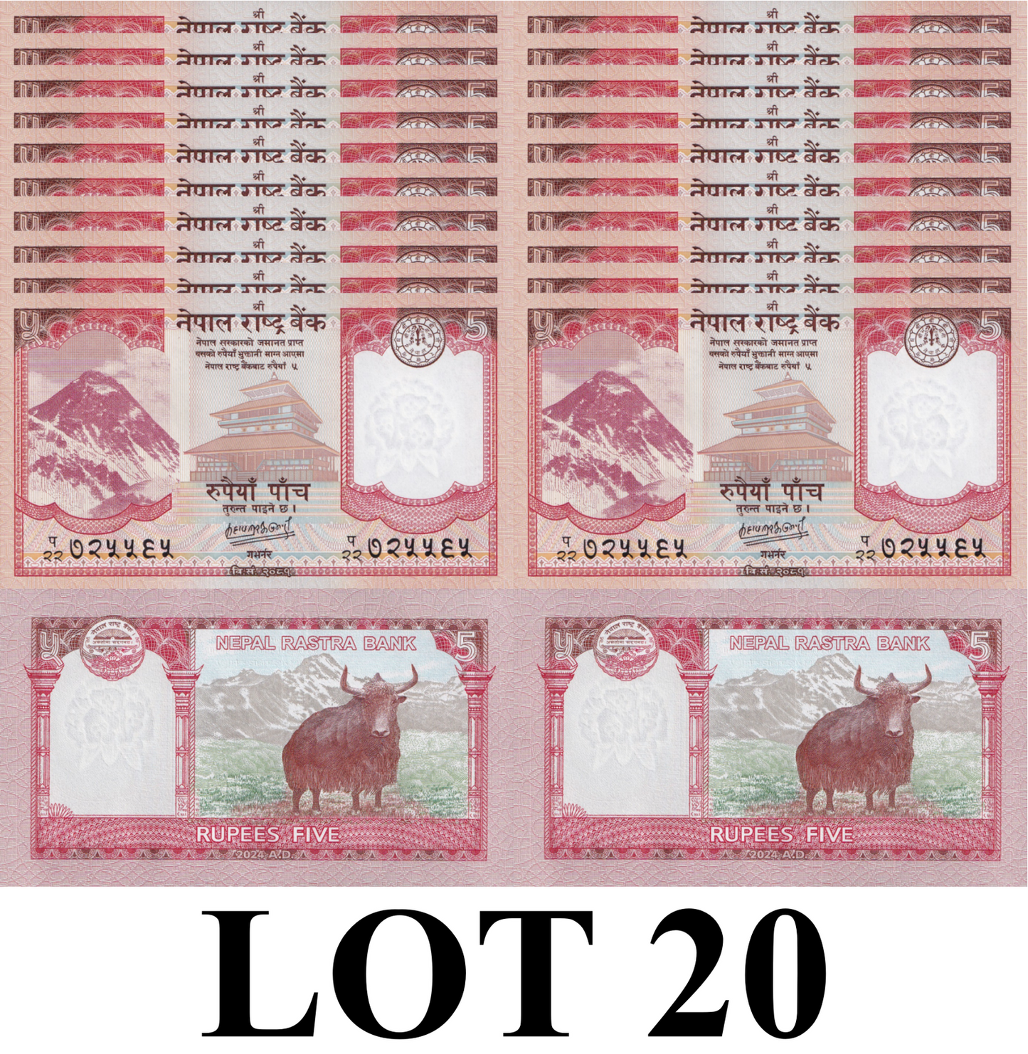 Nepal 5 Rupees 2024/2025 P 76 UNC 1/5 Bundle Lot 20 pcs